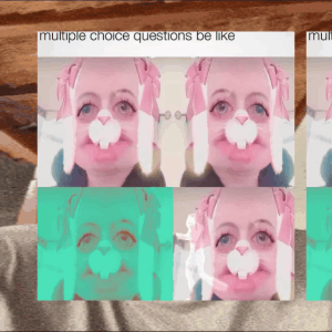 LASHUCAS featured gif